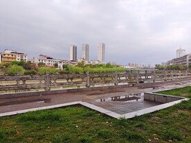 河道绿化建设