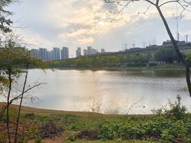 公园湖边