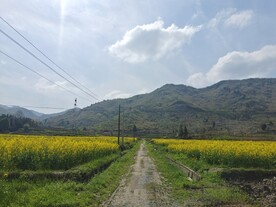春天乡村