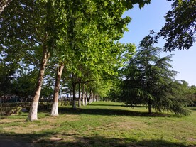 公园风景