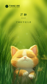 芒种海报