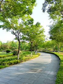 公园小路