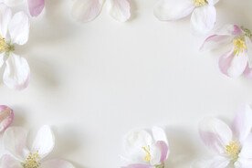 苹果花花瓣