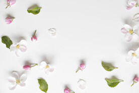 苹果花瓣