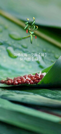 端午