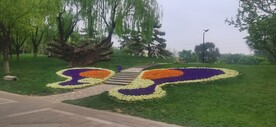 公园风景  