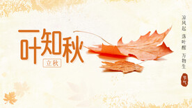 立秋海报