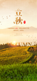 立秋展架 海报