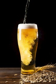 啤酒图片