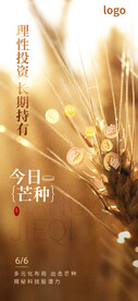 芒种海报