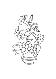 牵牛花
