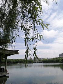 柳暗花明