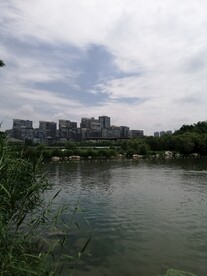 湖畔