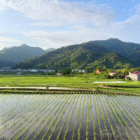 青山绿水