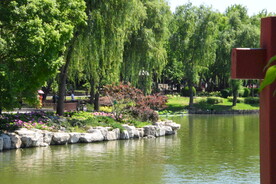 陶然亭风景