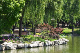 陶然亭风景 