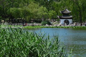 陶然亭风景 