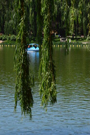 陶然亭风景 