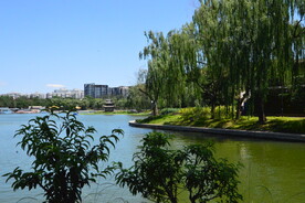 陶然亭风景 