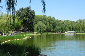 陶然亭风景 