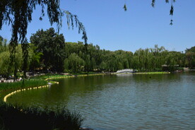 陶然亭风景