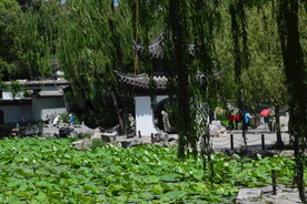 陶然亭风景 