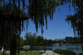 陶然亭风景 