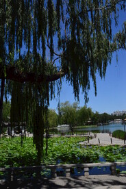 陶然亭风景