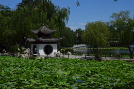陶然亭风景
