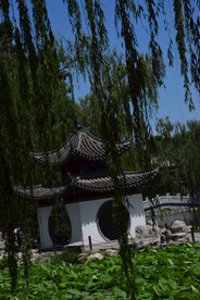陶然亭风景