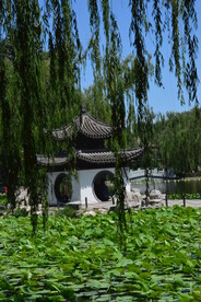 陶然亭风景  