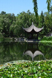 陶然亭风景