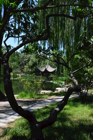 陶然亭风景 