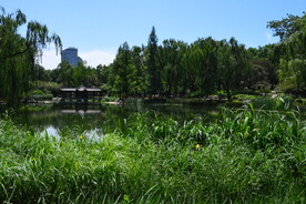 陶然亭风景