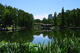 陶然亭风景