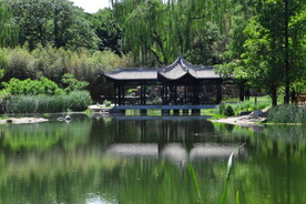 陶然亭风景 