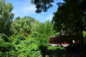 夏日大观园  