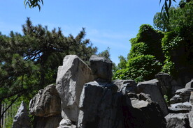 夏日大观园  
