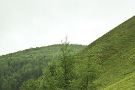 青山