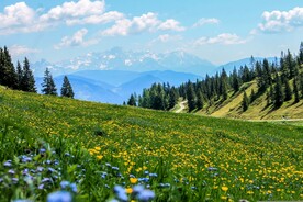 山坡郊外自然