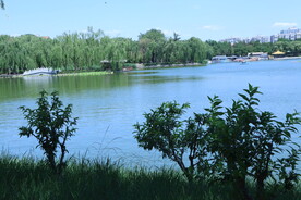 陶然亭风景 