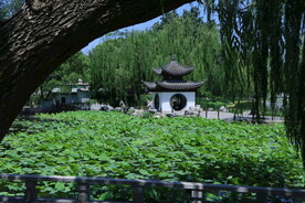 陶然亭风景  