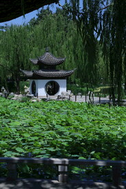 陶然亭风景
