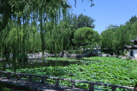 陶然亭风景  