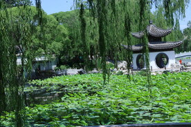 陶然亭风景 