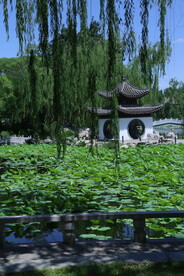陶然亭风景  