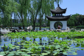 陶然亭风景  