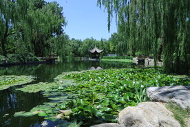 陶然亭风景 