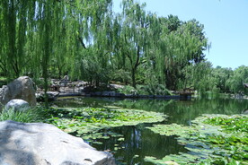 陶然亭风景 
