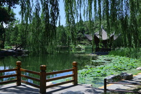 陶然亭风景